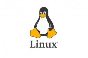 تعلم واحتراف نظام التشغيل Linux system administration فى شهرين