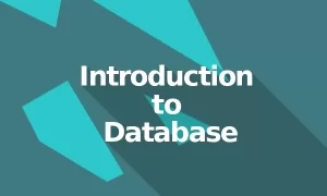 مقدمة إلى قواعد البيانات - Database Fundamentals
