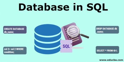 تعلم كل ما يخص Database and SQL