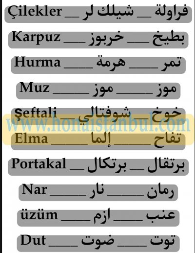 تعلم اللغة التركية منهاج جامعة اسطنبول