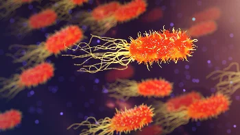 علم الأحياء الدقيقة لطلاب الطب و العلوم الصحية  Microbiology for biomedical students