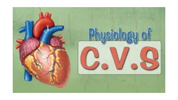 Cardiovascular physiology