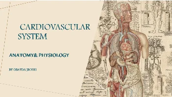 Cardiovascular System: Anatomy and Physiology