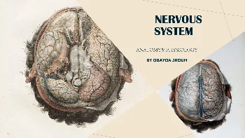 Fundamentals of Neuroscience: Anatomy, Physiology