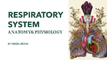 Respiratory System