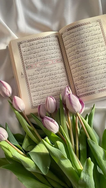 تعلم أحكام التجويد