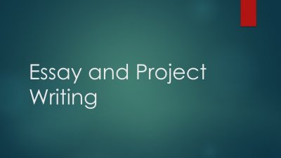 Essay and Projects writing