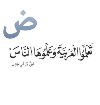 تدريس اللغة العربية تعليم القراءة والكتابة و تأسيس نحو