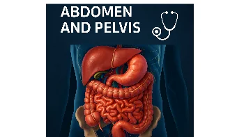Anatomy of the abdomen and pelvis