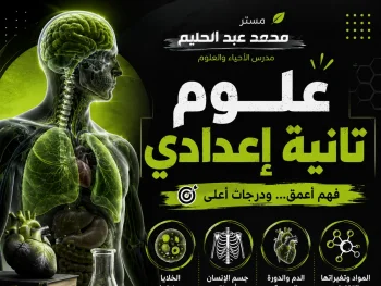 الصف الثاني الإعدادي | فهم عميق وتطبيق عملي