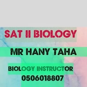 Mr Hany Taha