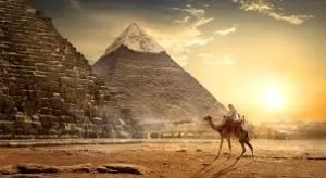 .صورة محمود صقر مدرس خصوصي