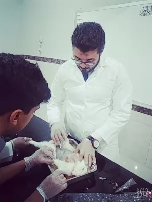 معلم احياء ibrahim elnaggar