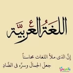 أم عمر معلمة لغة عربية