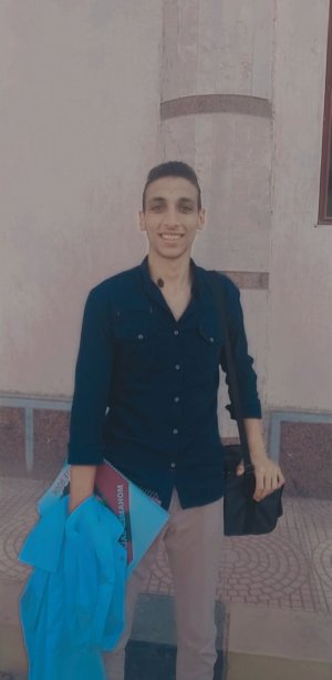 Tarek khalafalla