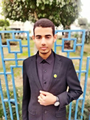 معتز ابوالفضل