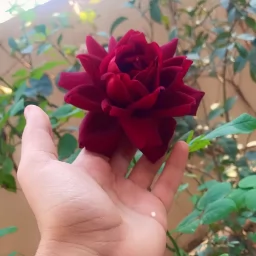 .صورة يوسف العبيدي مدرس خصوصي