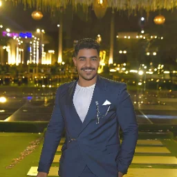 mohamed elgbaly 313