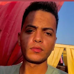 Amr Mansour