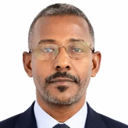 Ahmed A Osman