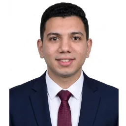 محمد حمدي أبو الحسن
