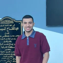 Ahmed Yasser Mohamed El-Sayed