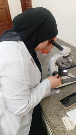 Menna Ibrahem