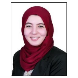 Alaa Othman