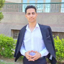 Ahmed Eldamaty (Software Engineer)