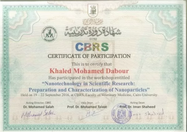 Nanoparticles Certificate
