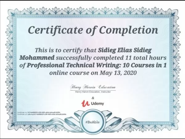 professional technical writing