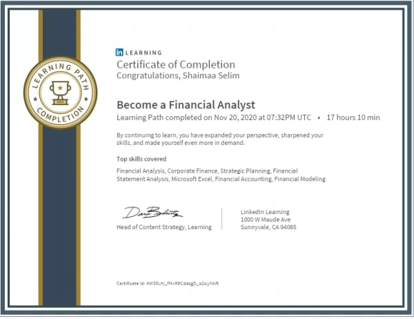 Become a Financial Analyst_ LinkedIn Learning