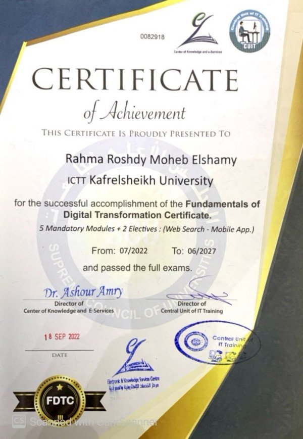  Fundamentals of Digital Transformation Certificat