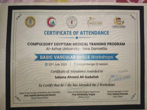 basic vascular skills workshop