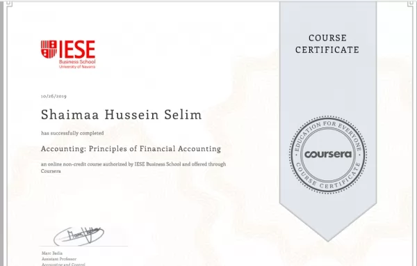 Financial Accounting_IESE Business School